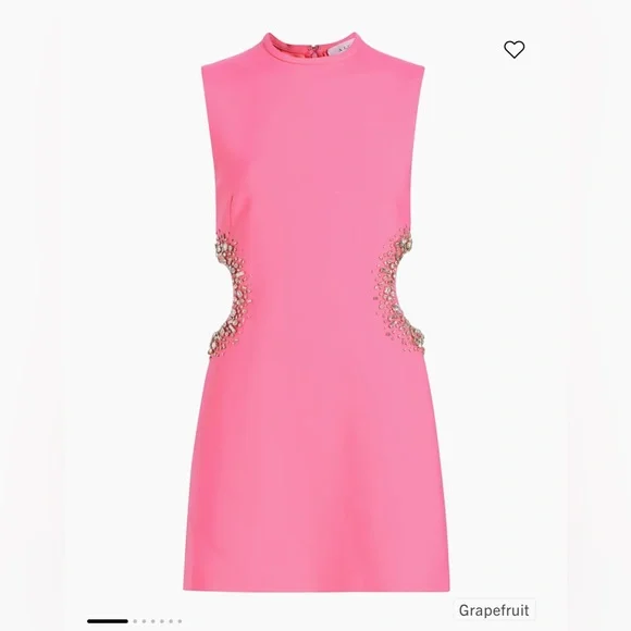 A.L.C. Skyla Embellished Cut-Out A-Line Mine Dress - Picture 4 of 7